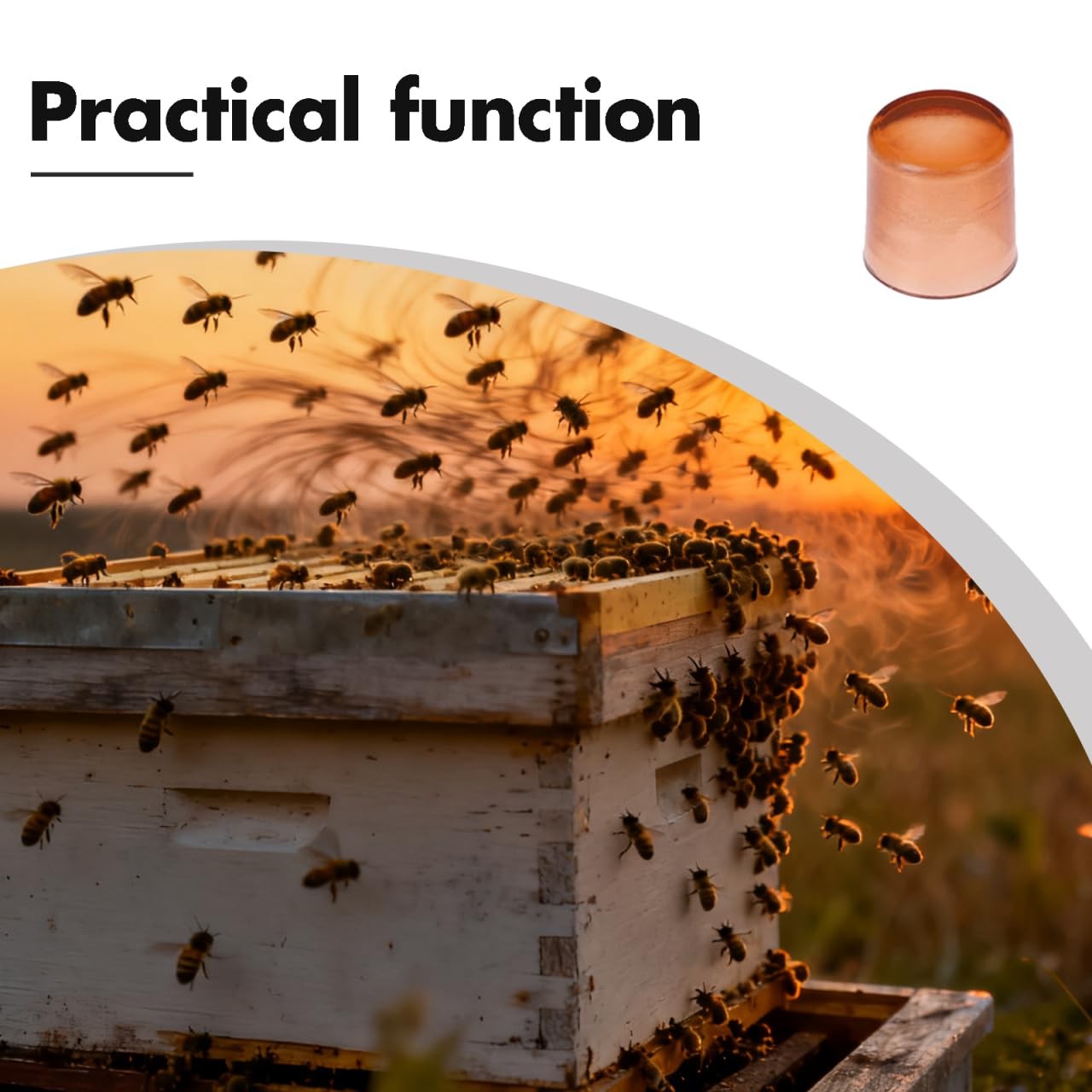 Queen Rearing Cupsk, 2000 Pack Plastic Bee Breeding Cups for Queen Cell Reari…