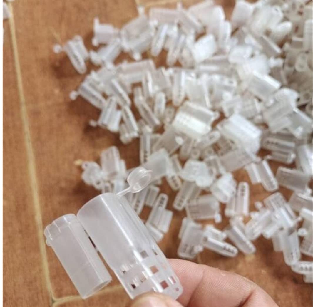 20pcs White Queen Bee Cages Beekeeping Catcher Plastic Isolator