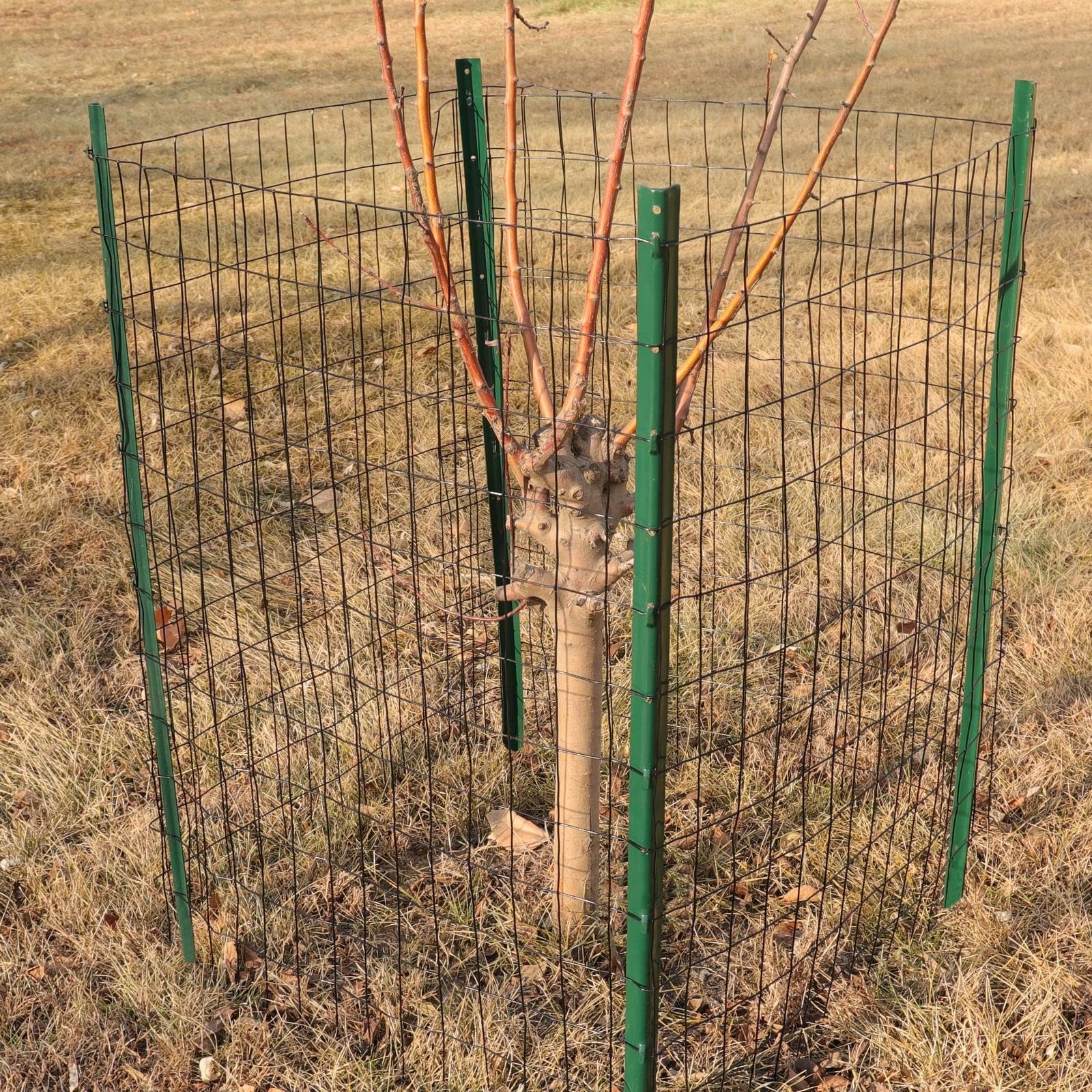 Black PVC Coated Welded Wire Fence 36 Inch x 50 Foot, 2 Inch x 3 Inch 16GA, G…