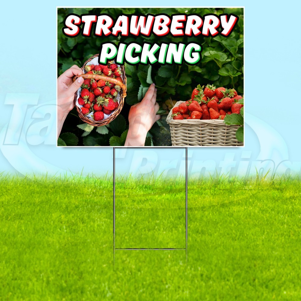 STRAWBERRY PICKING 18×24 Yard Sign Plastic Corrugated WITH STAKE USA YS07821