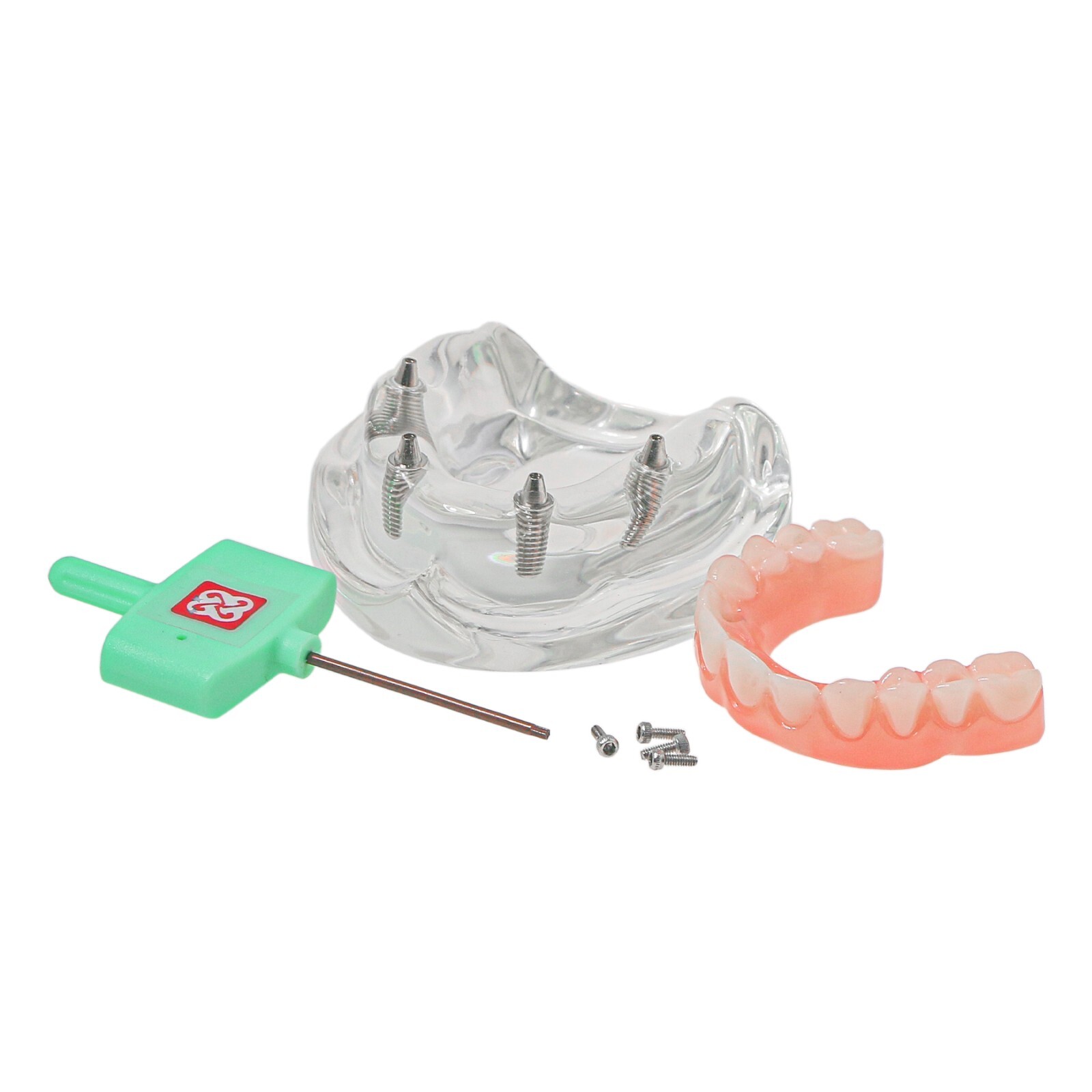 All-on-4/6 Screws Restoration Overdenture Dental Implant Model Upper/Lower Jaw