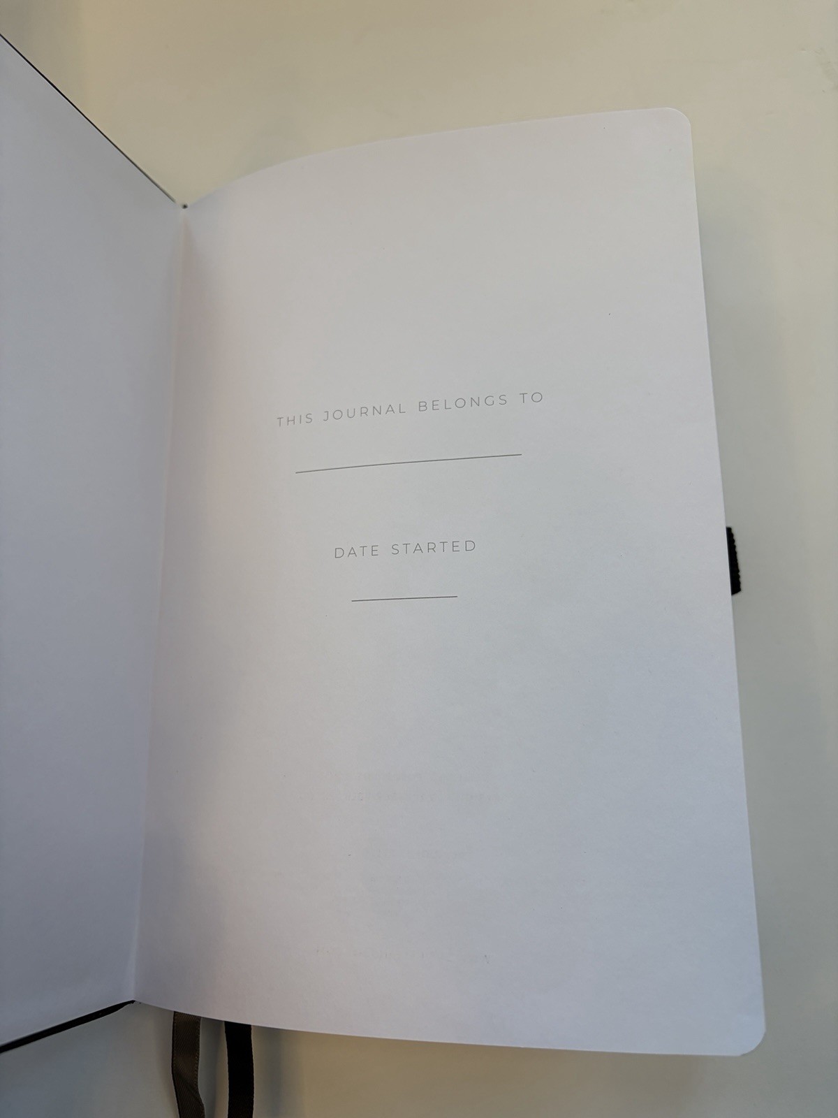 NEW in Box Scribble And Dot Hardcover Dot Black Bee Journal 160 Thick Pages