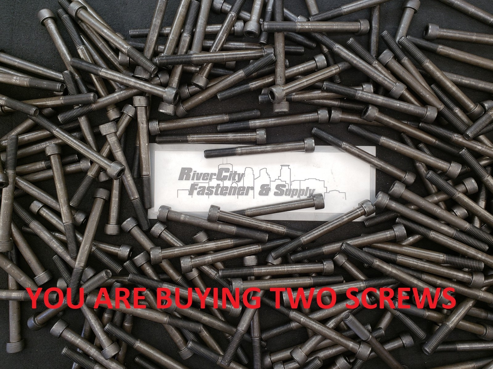 (TWO) M10-1.25×100 MM (PT) Socket Head Cap Screw 12.9 Fine Thread
