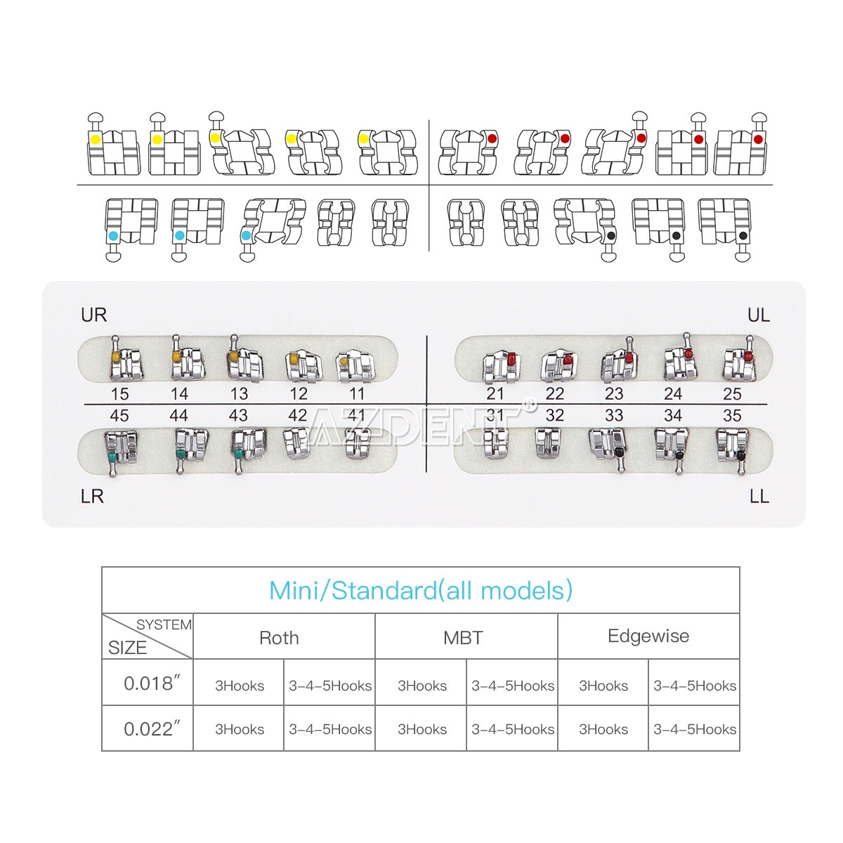 AZDENT Dental Orthodontic Brackets Braces /Supper Elastic Niti Arch Wires