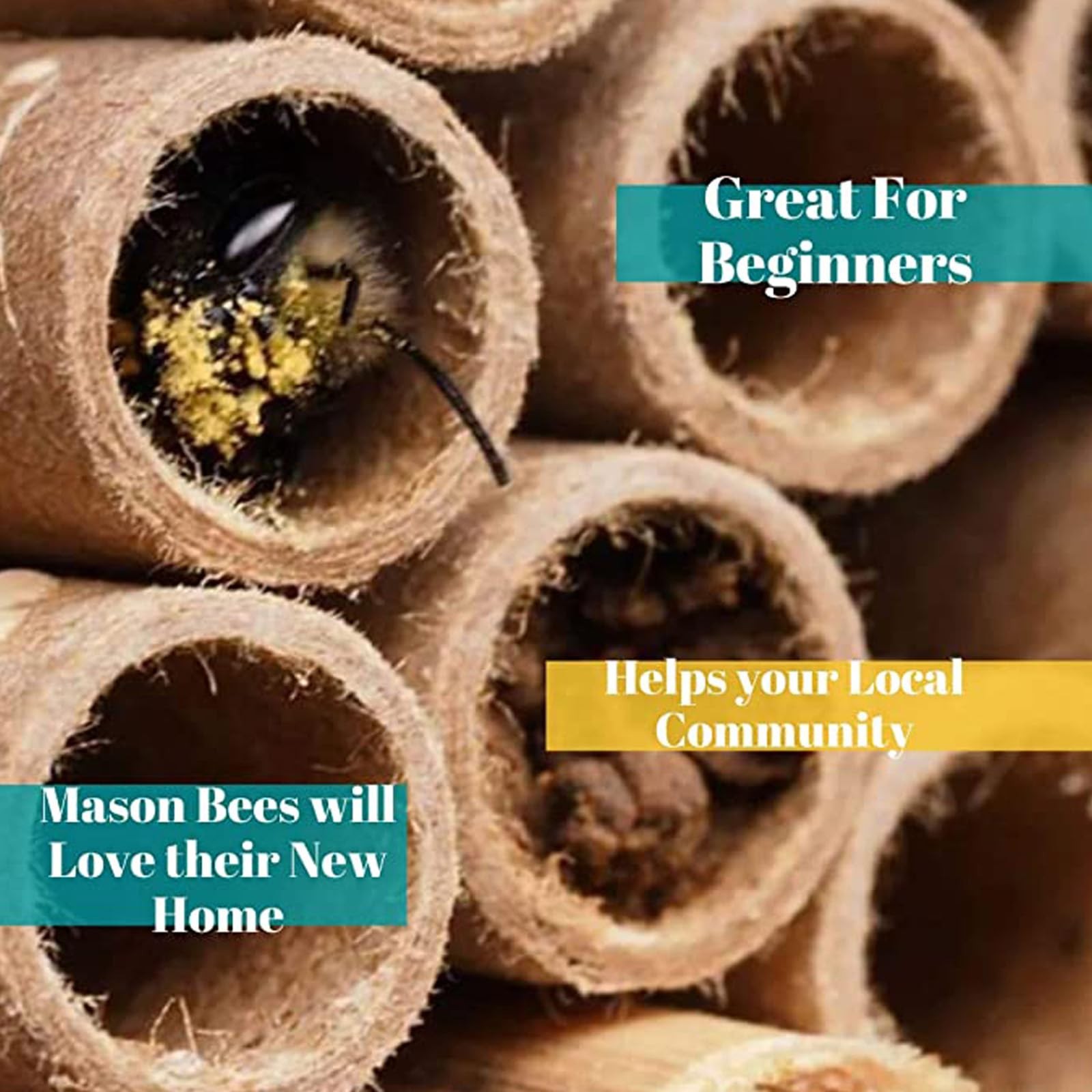 Mason Bee House Nesting Paper Cardboard Tubes Refill Inserts Beekeepers 120PK