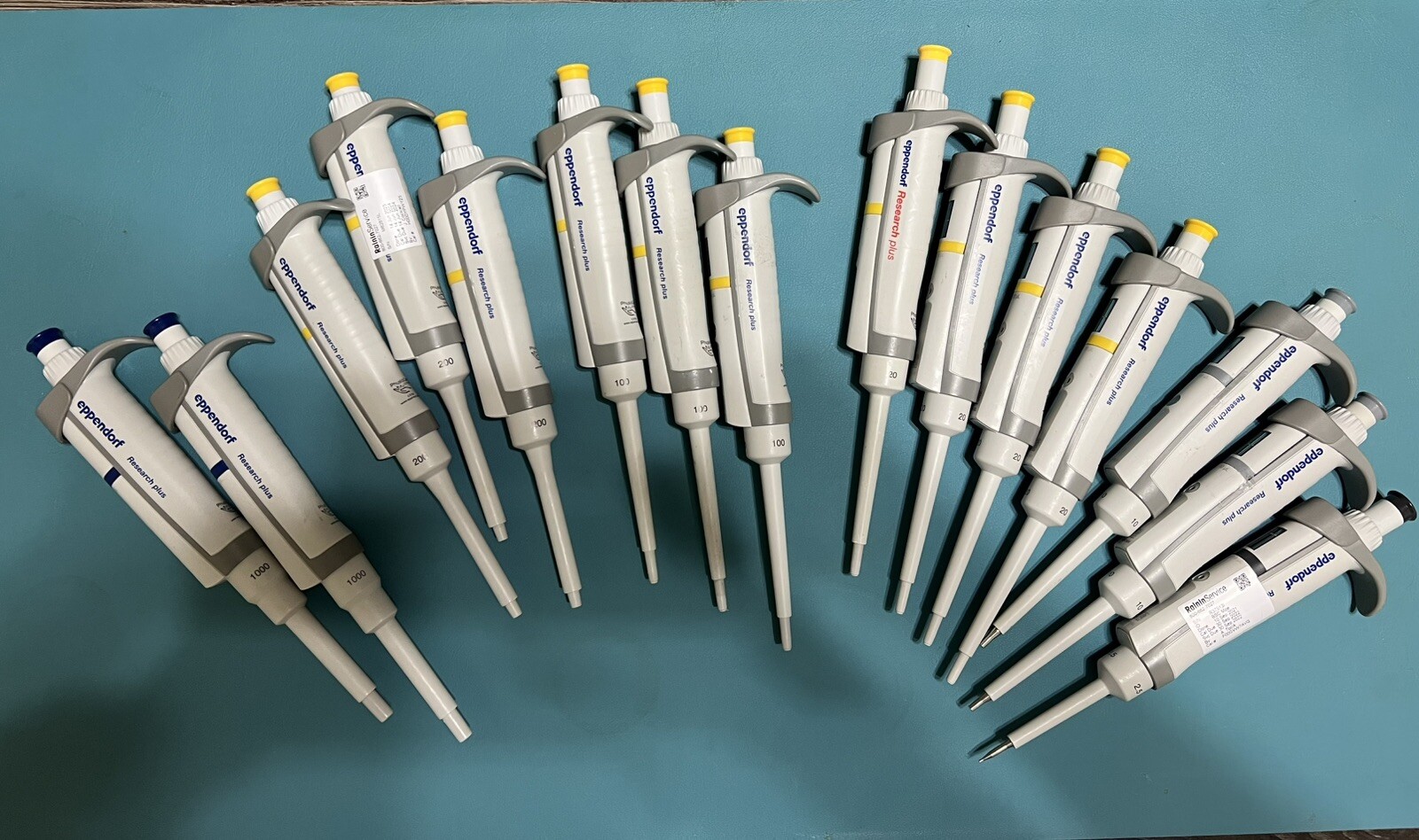 Eppendorf Research Plus pipettes single channel 2.5 10 20 100 200 1000ul