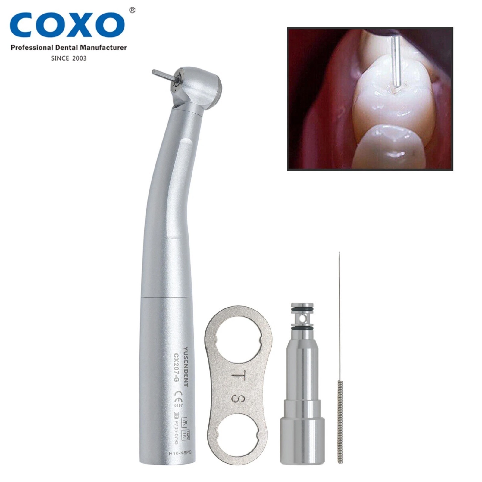US COXO Dental Turbine High Speed Handpiece Fiber Optic KaVo CX207-G H16-KSPQ
