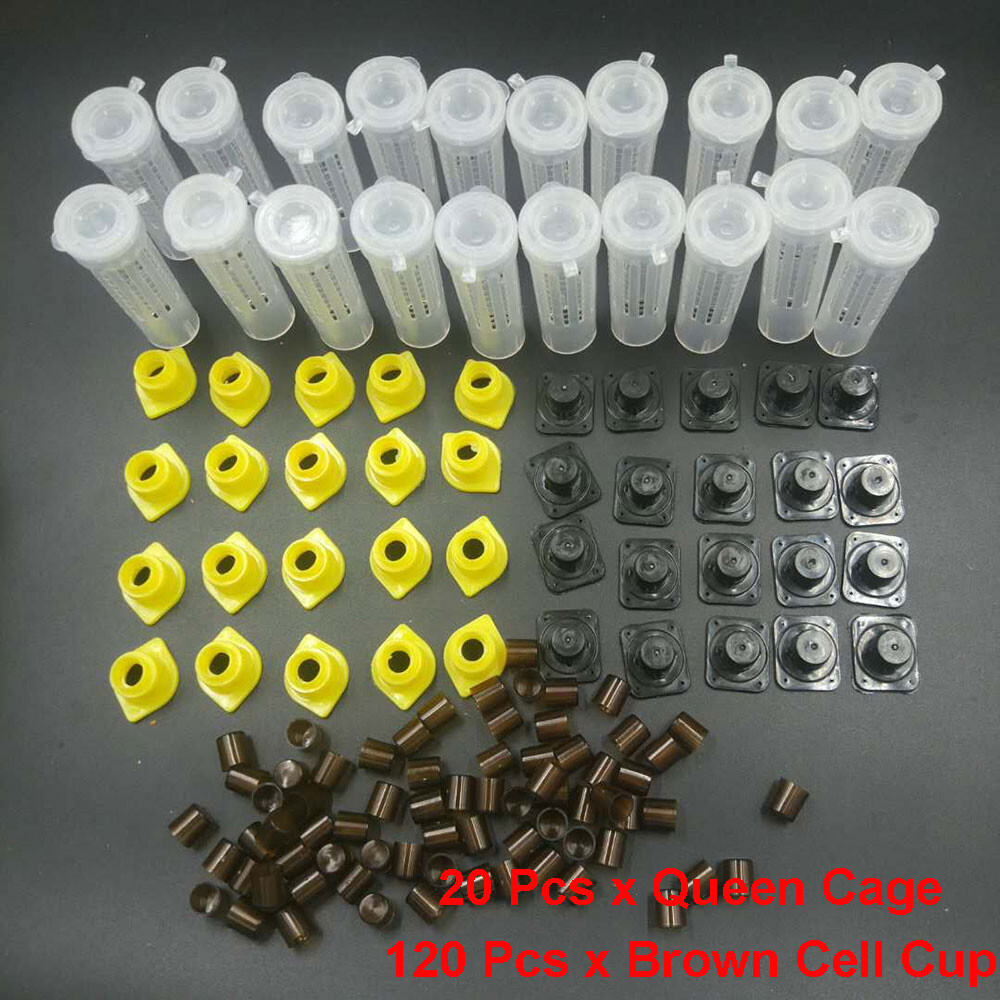 1 Set Bees Tools Cages King Queen Apicultura Kit Complete Nicot Cage Cups Cell#