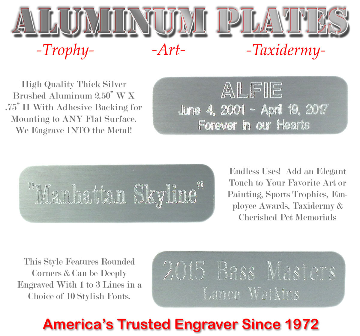 3/4″ X 2 1/2″ Custom Engraved Aluminum ID Name Plates Art Trophy Taxidermy Gifts