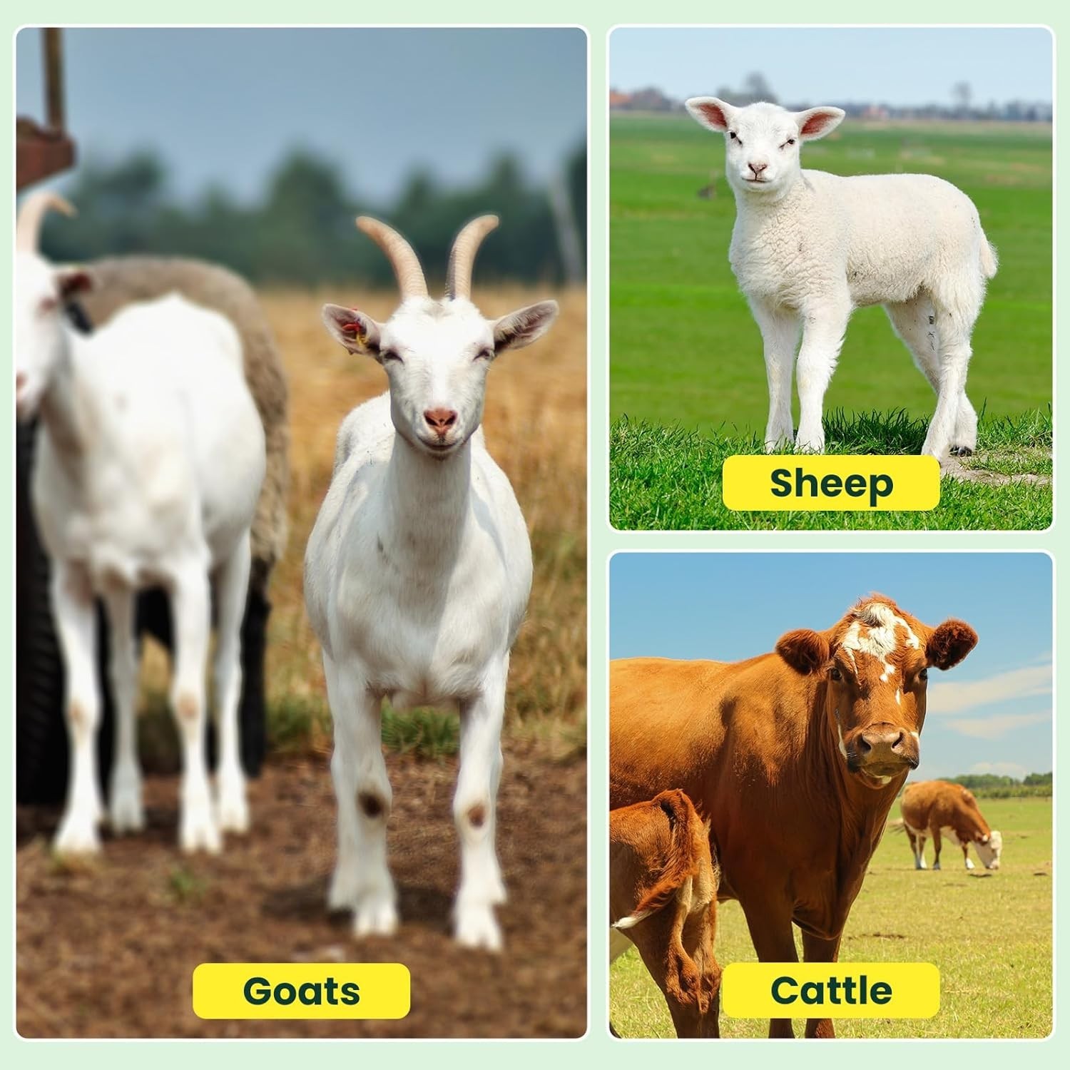 Electric Fence Netting 164ft x 42in Portable Livestock Goat Sheep Cattle