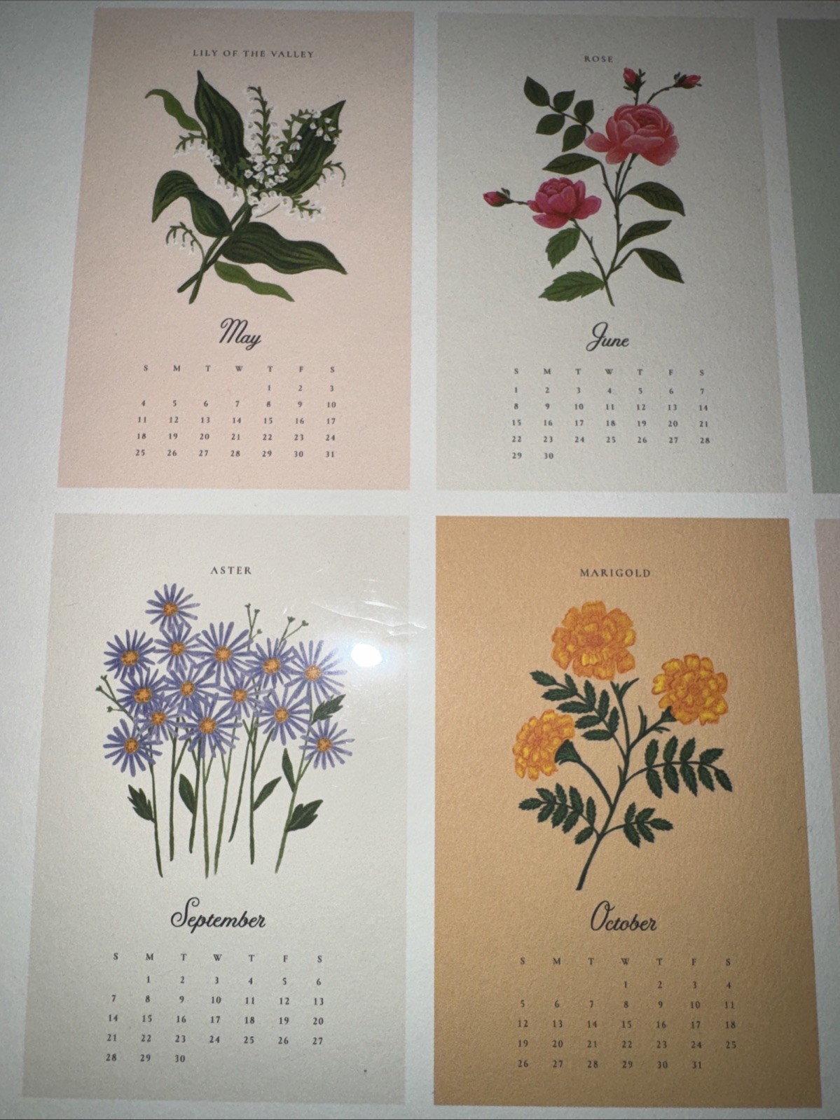 NEW Rifle Paper Co Calendar 2025 Say It Flowers Large Wall Calendar For Framing