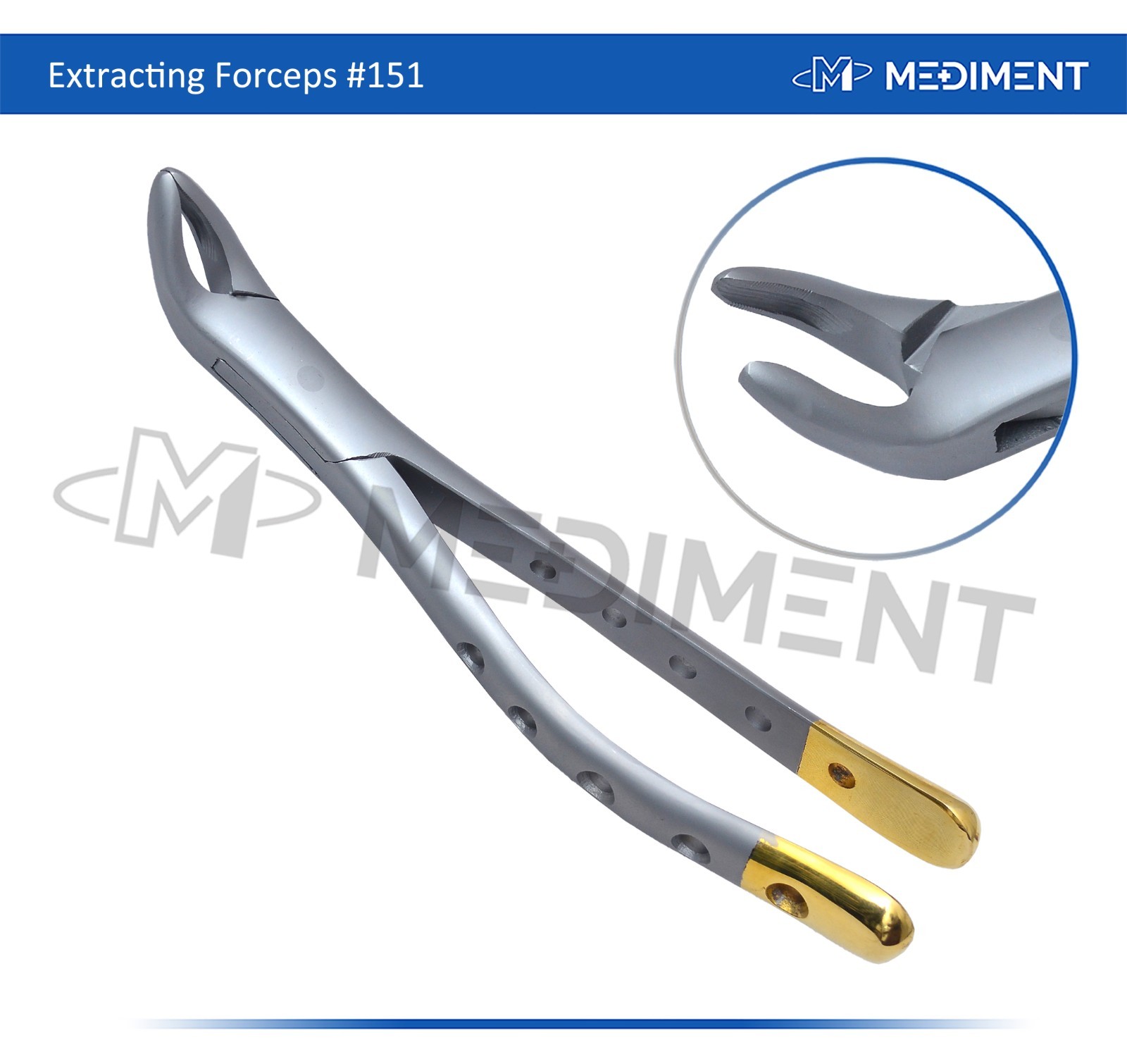 DENTAL #151 EXTRACTION FORCEPS TOOTH EXTRACTING ATRAUMATIC FORCEPS