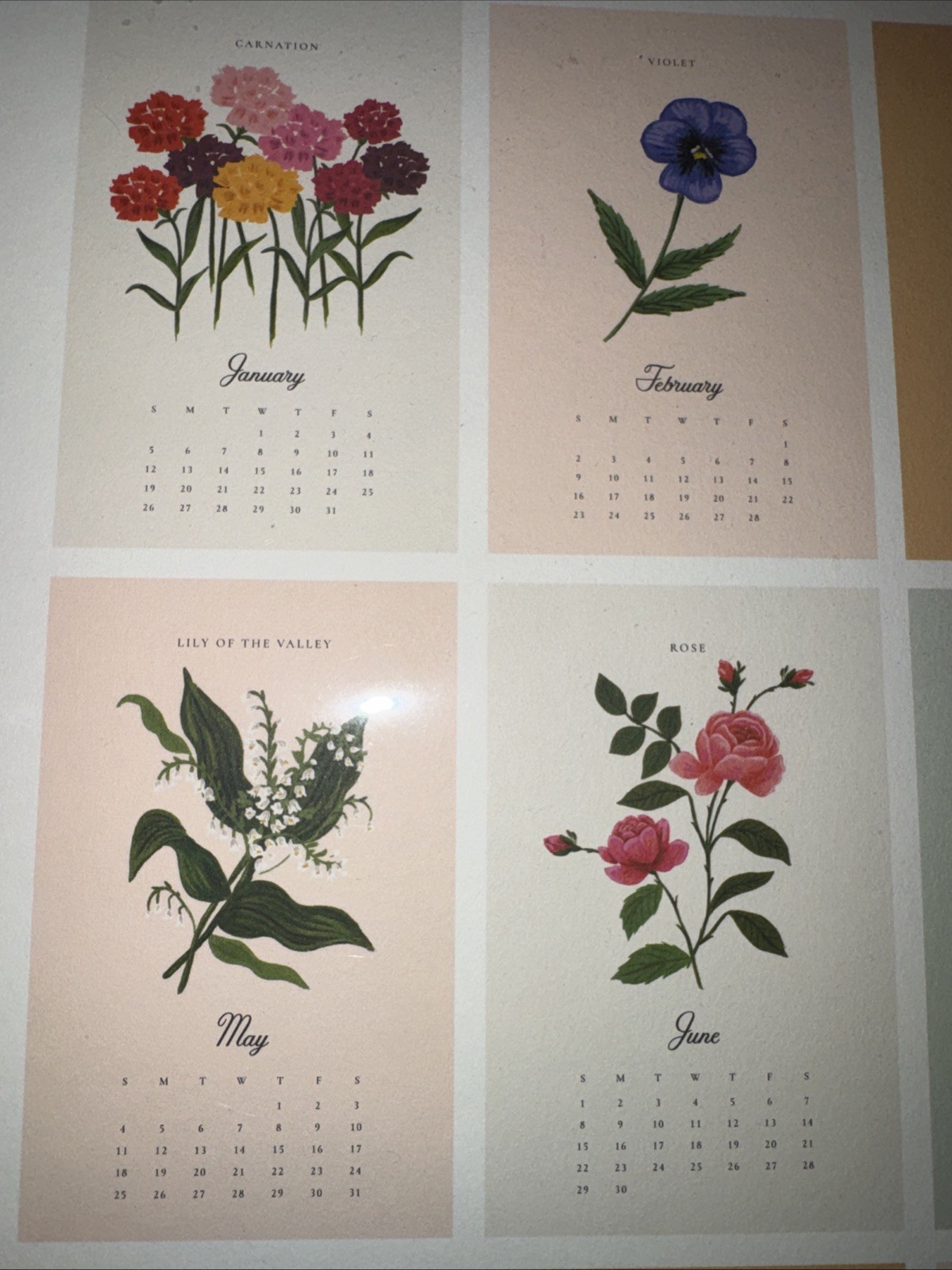 NEW Rifle Paper Co Calendar 2025 Say It Flowers Large Wall Calendar For Framing