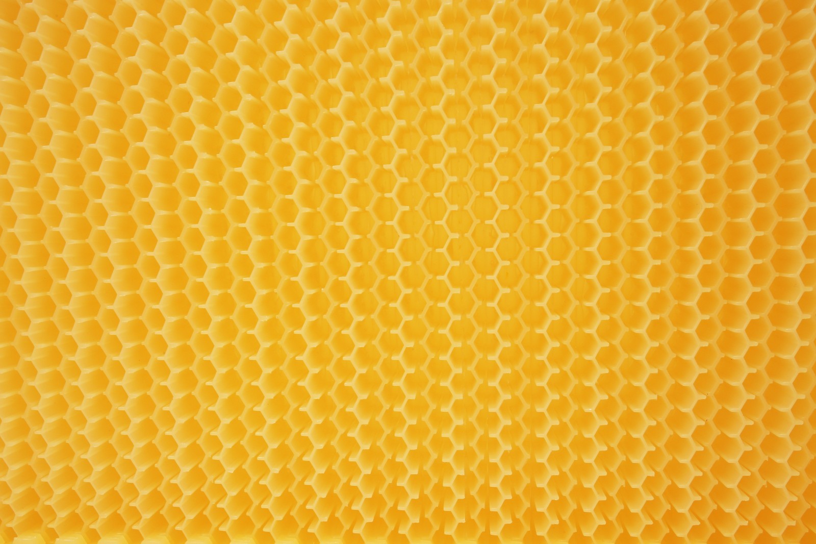 7pcs Automatic Honey Harvster Beehive Frames BPA FREE for Beekeeping Beekeepers