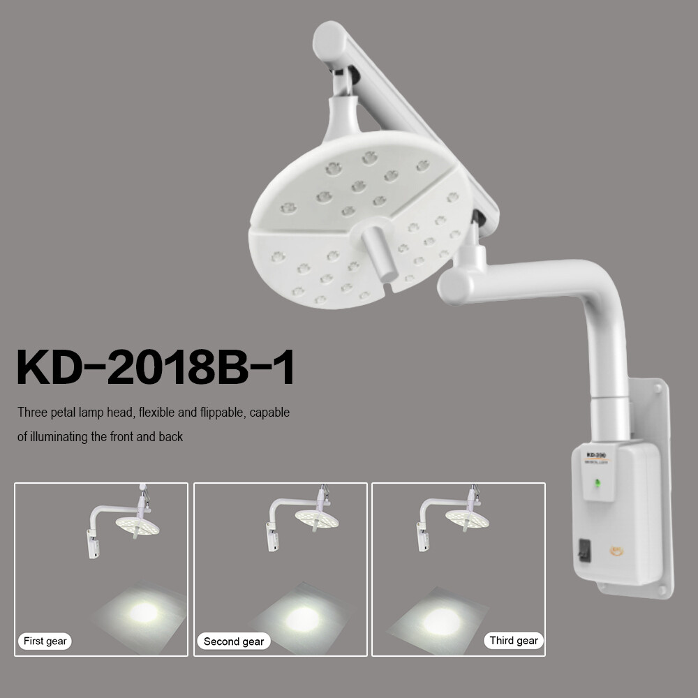 Dental 36W Wall-Mounted Shadowless Surgical Light 27 Leds Veterinary Exam Light