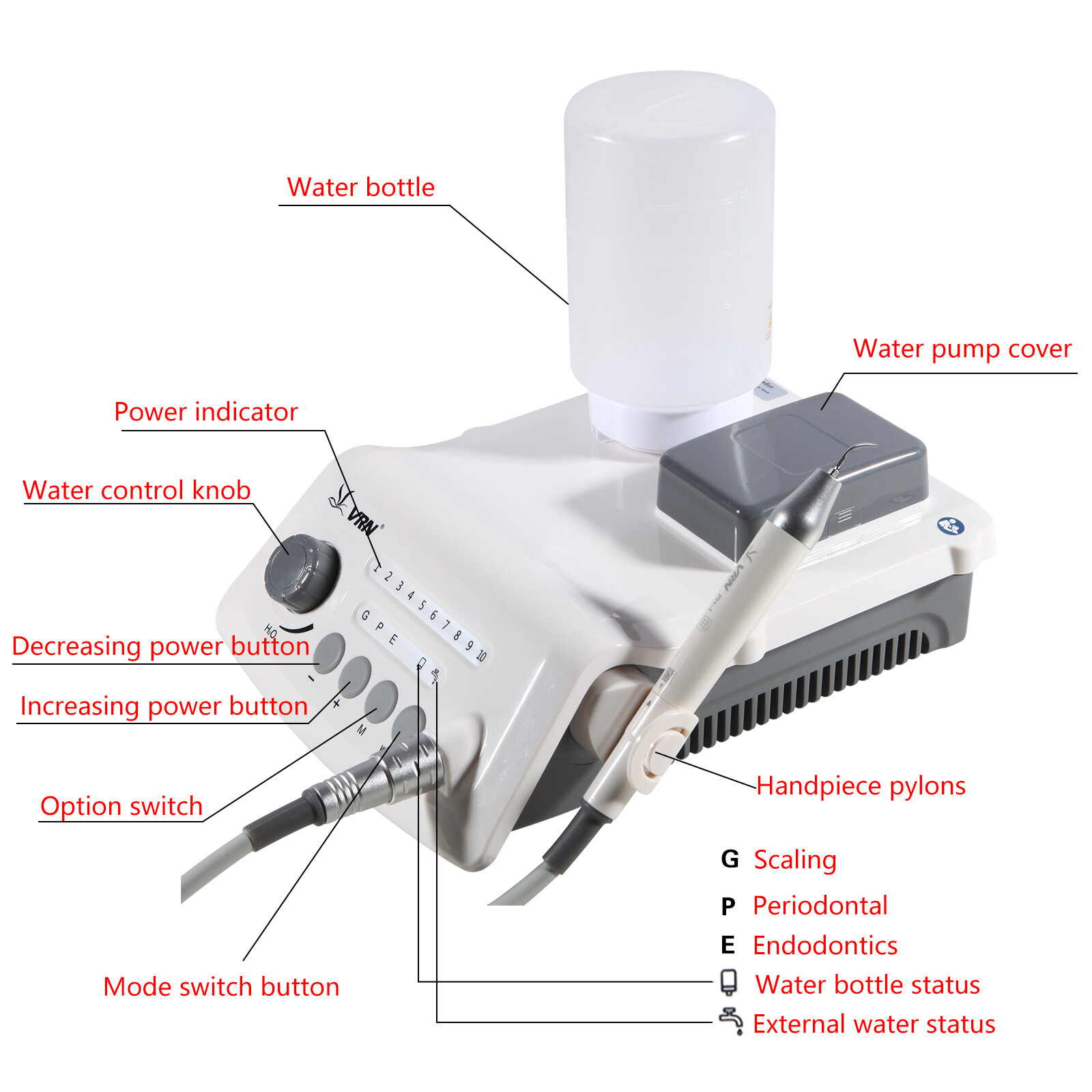 Dental Ultrasonic Piezo Scaler W/ LED Handpiece Auto Water Supply System A8