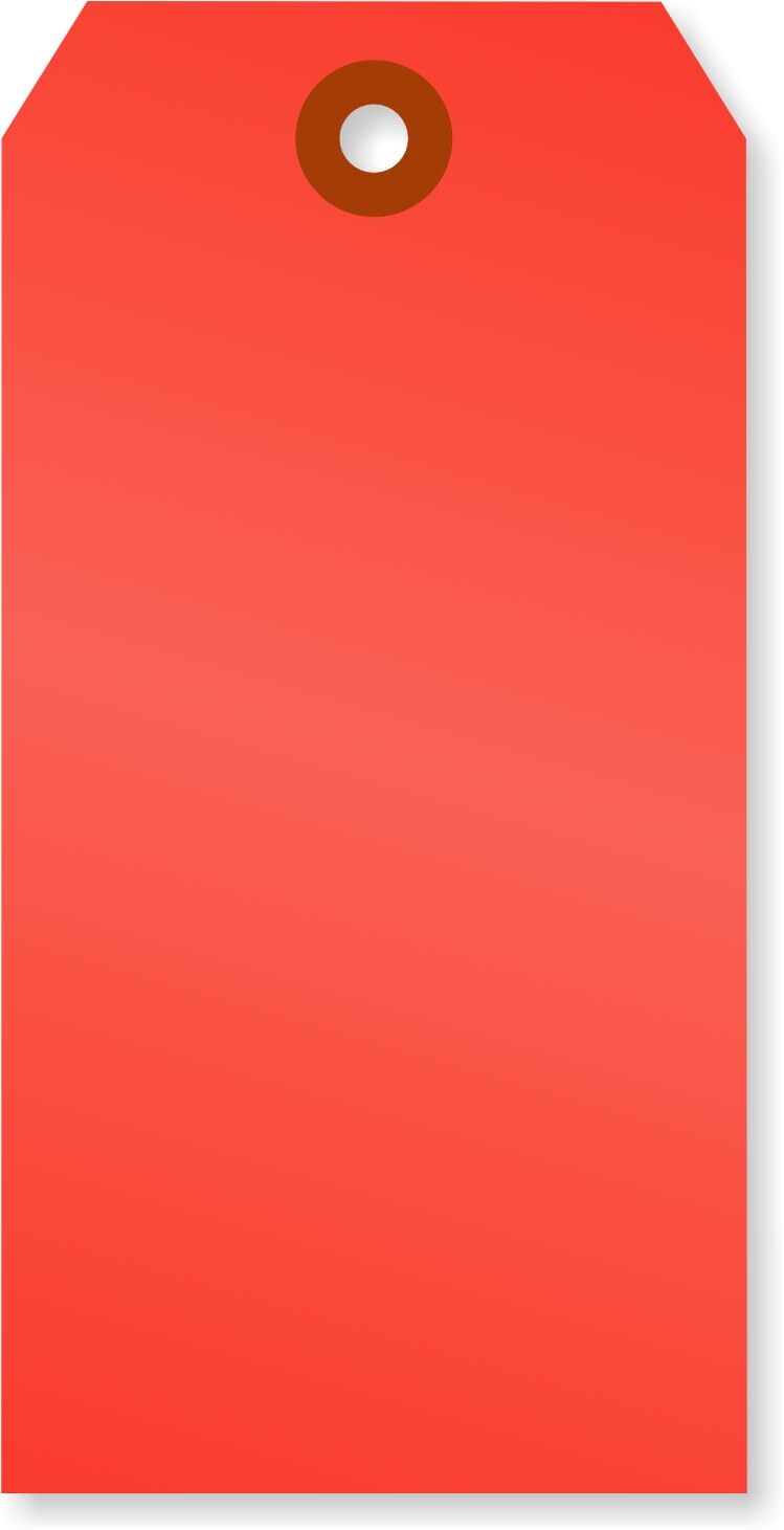 Fluorescent Red Blank Tags with Pre-Punched Hole – 100-Pack 4.75″ x 2.375″ Si…