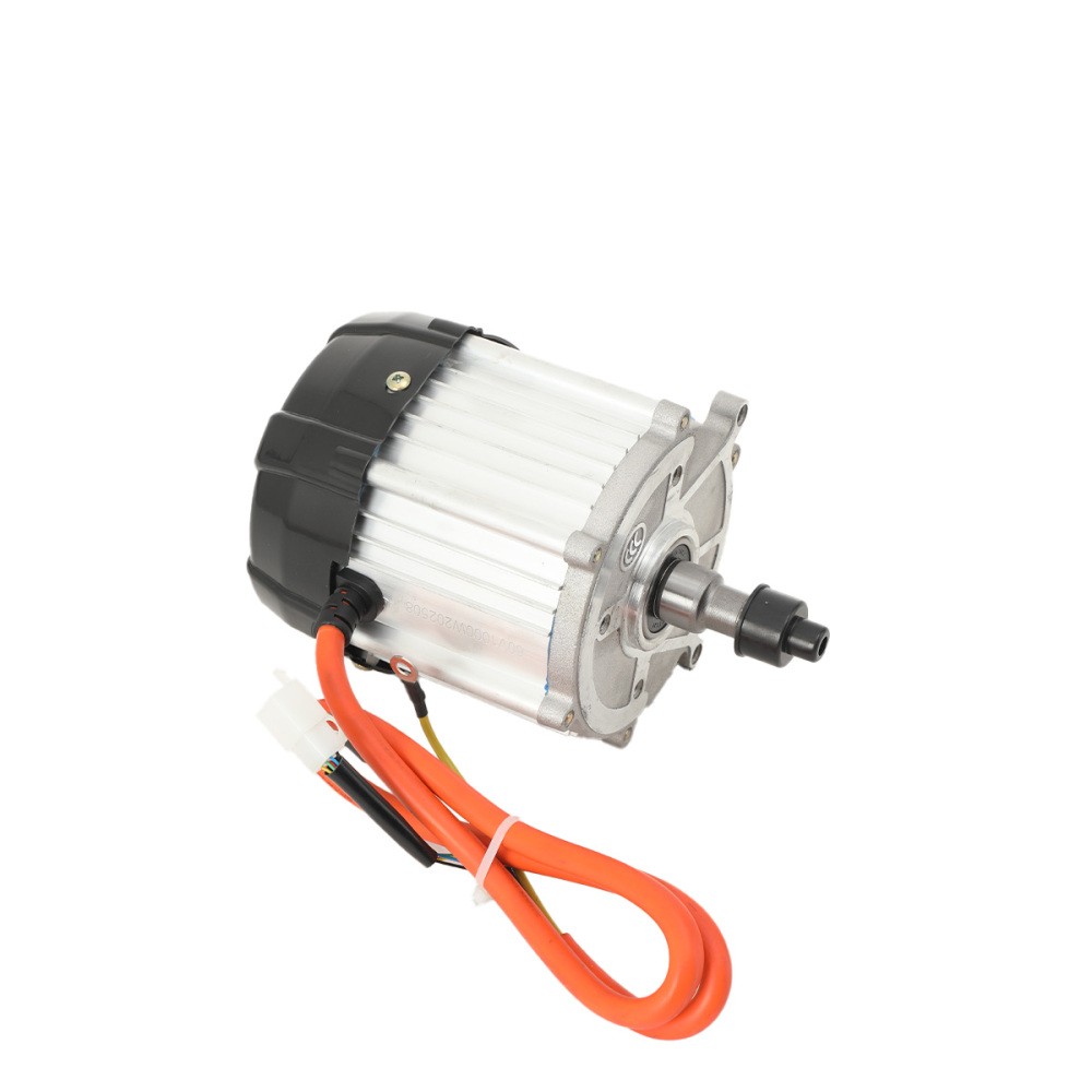 DC60V Electric Tricycle Brushless Motor 1000W Differential Speed Electric Motor