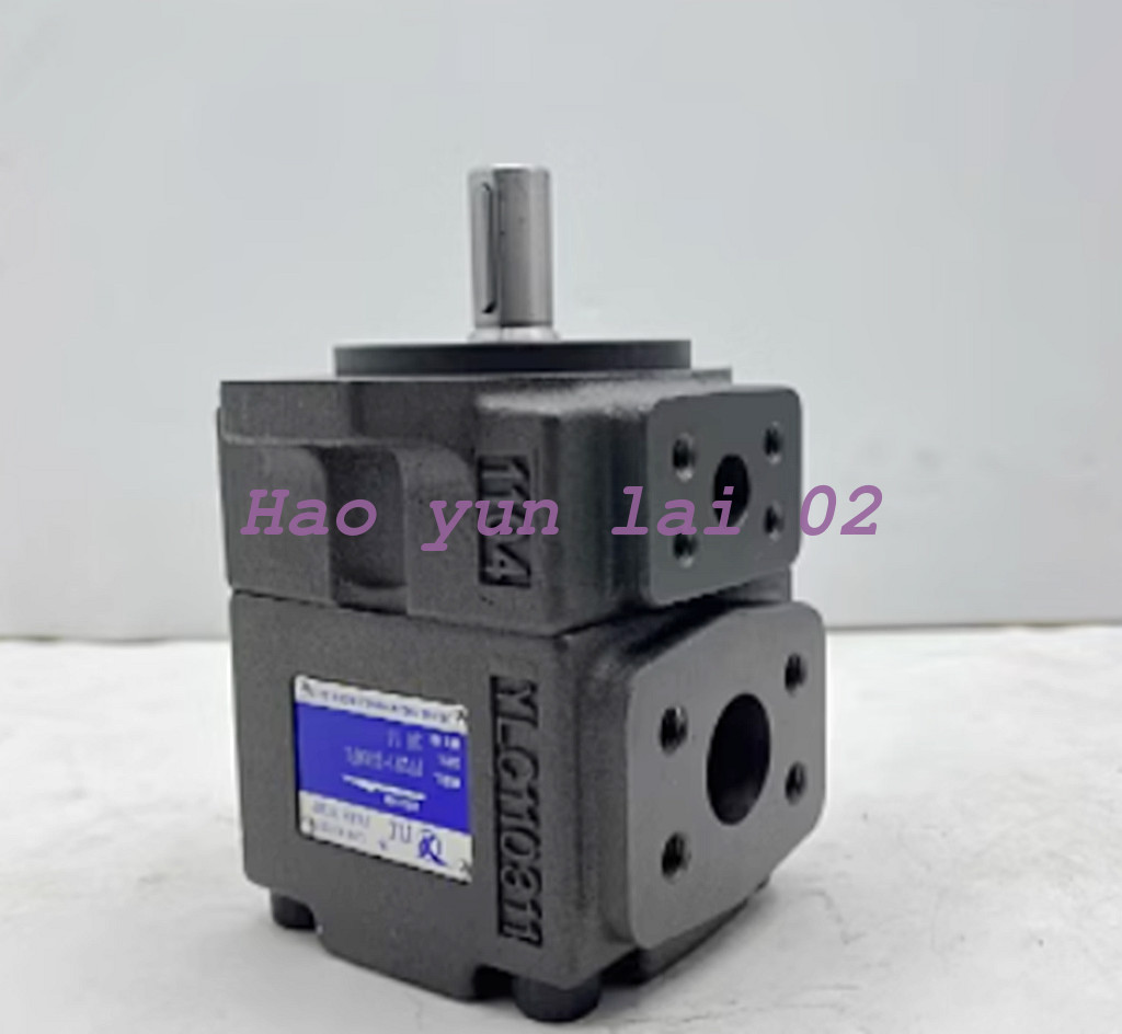 1PC NEW FOR YLC Vane Pump PV2R1-10RAF1 10ml/r 21MPA 1450r/min