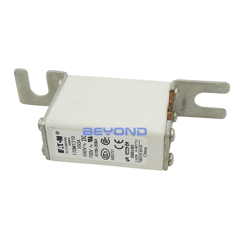 NEW FOR Bussmann fuse 170M1319 160A 690V