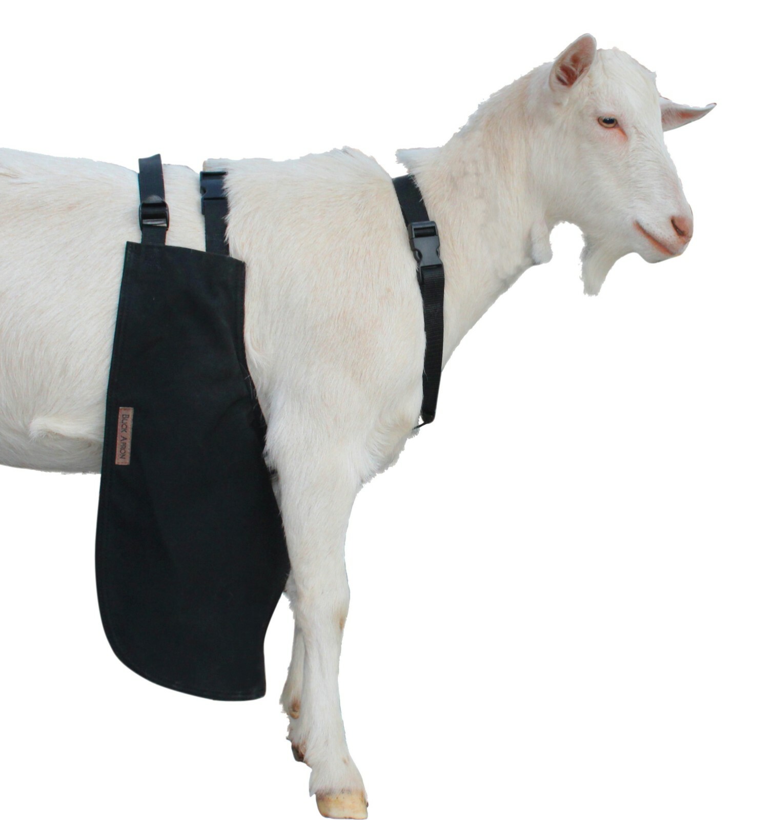 Anti Mating Anti Breeding OLOR Buck Apron™ with Harness – Goats/Sheep LG REG